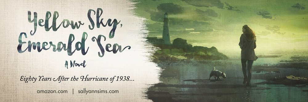sasims17's profile banner image
