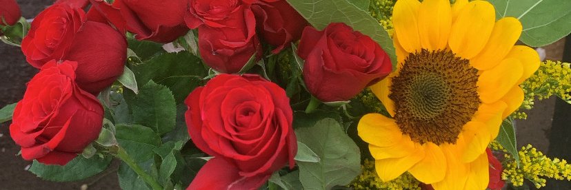 mitamit__'s profile banner image