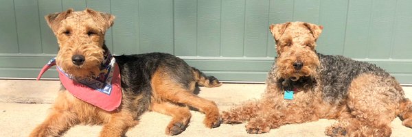 G_Rawlings Profile Banner