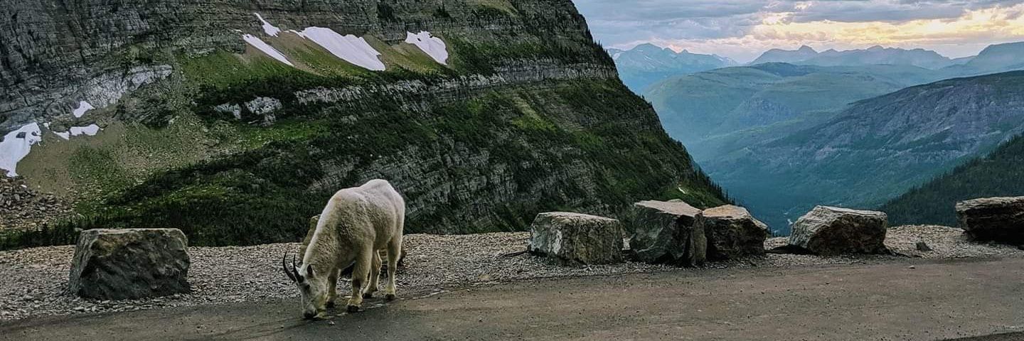 teamtrav's profile banner image