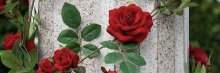 matos_brubs's profile banner image