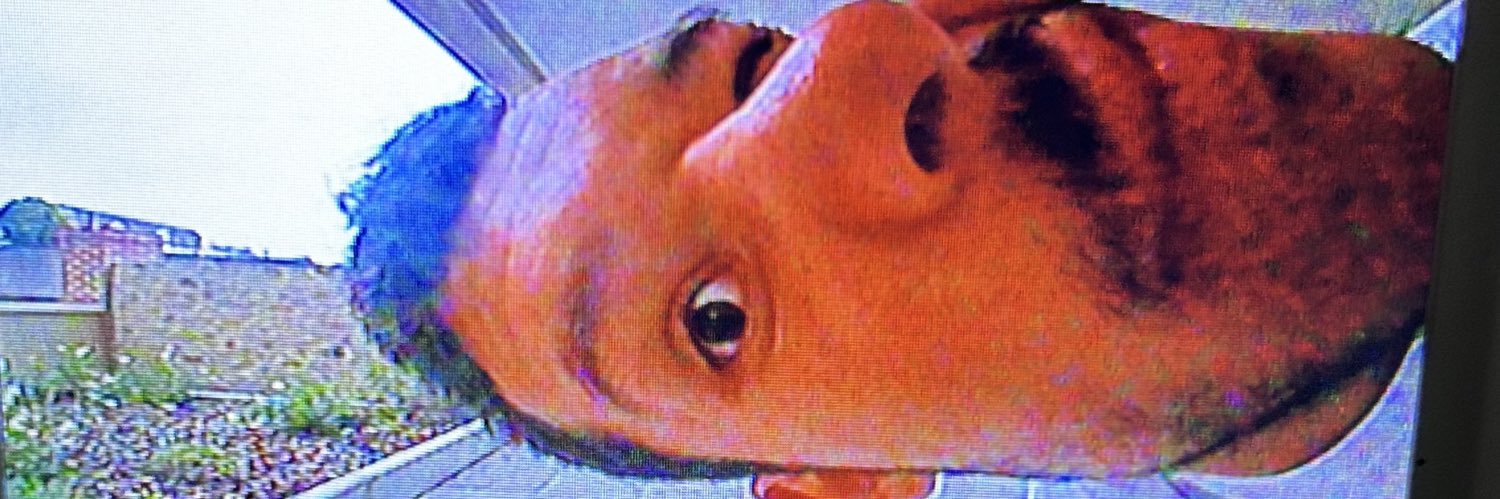 Pab_Co_'s profile banner image