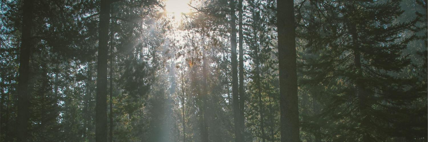 h_isaac2's profile banner image
