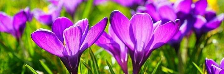 tari4567's profile banner image