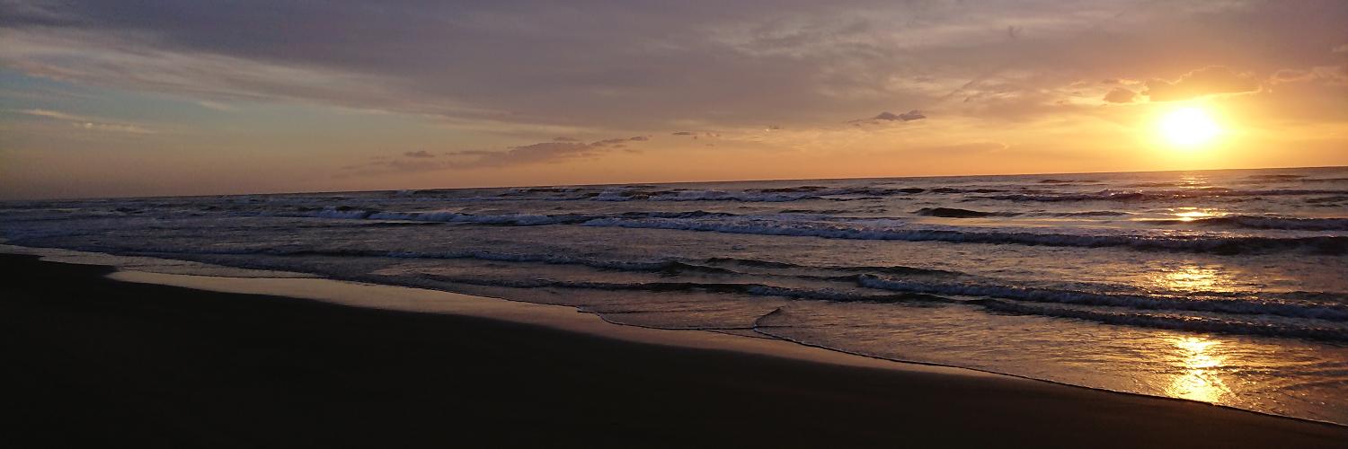 fwin3939's profile banner image