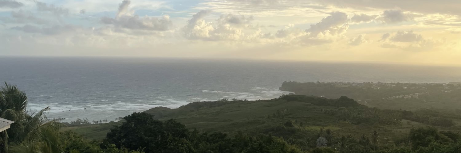 ari (blue tick) 🇯🇲🇧🇧 banner