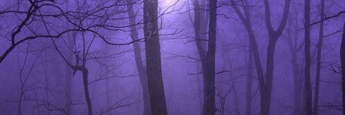 Bree4444's profile banner image