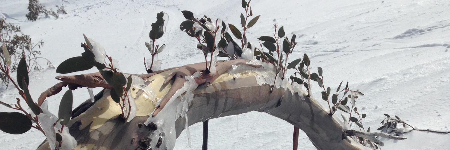 Samoskal's profile banner image
