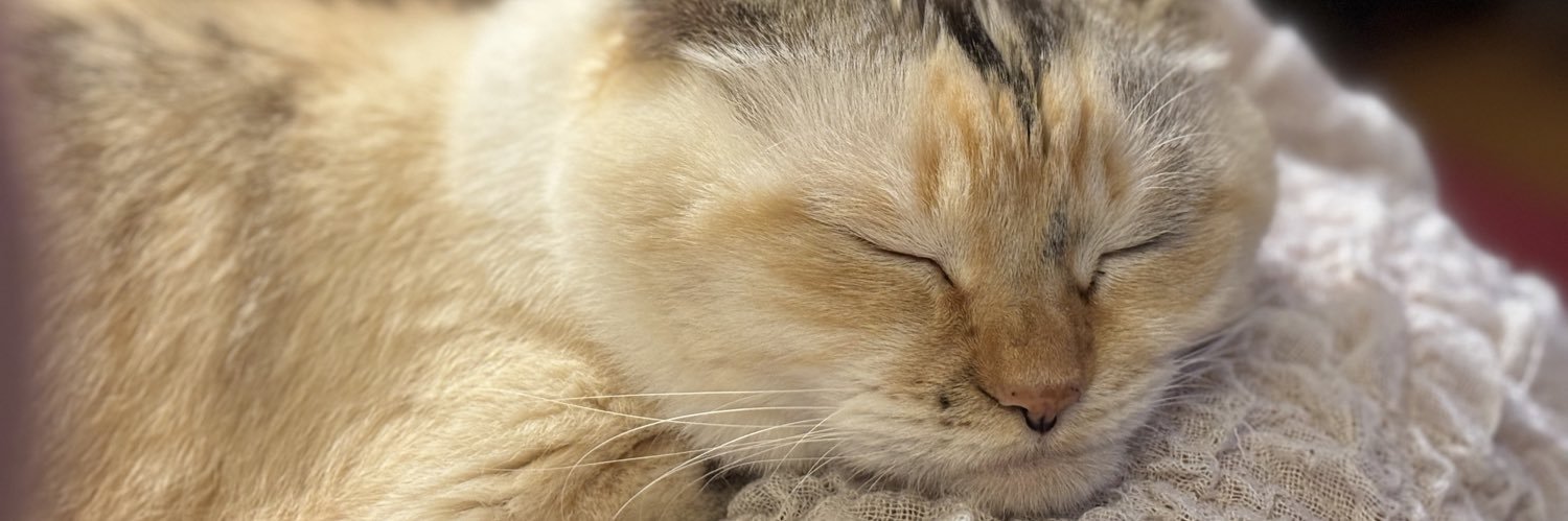 ガクちゃん banner