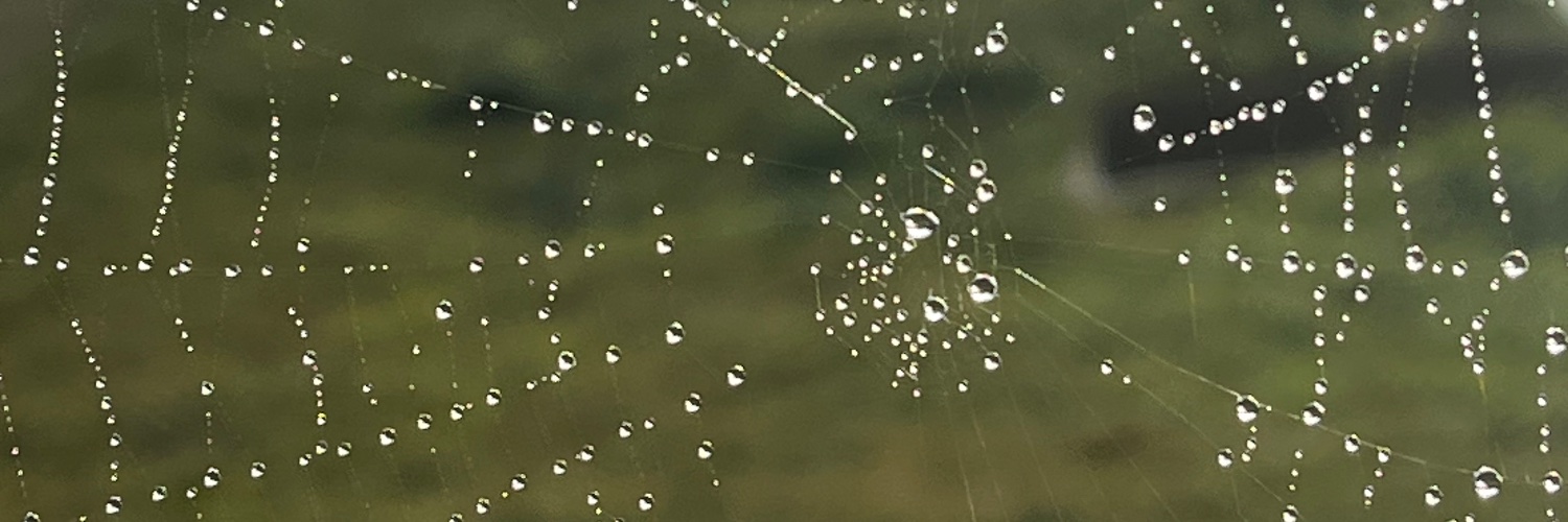jwalkawalkaaa's profile banner image