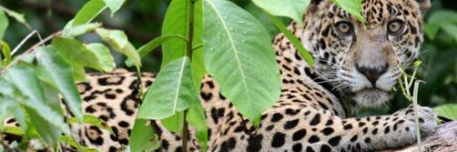 credbethany's profile banner image