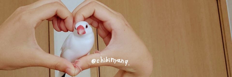 chibinyanq's profile banner image