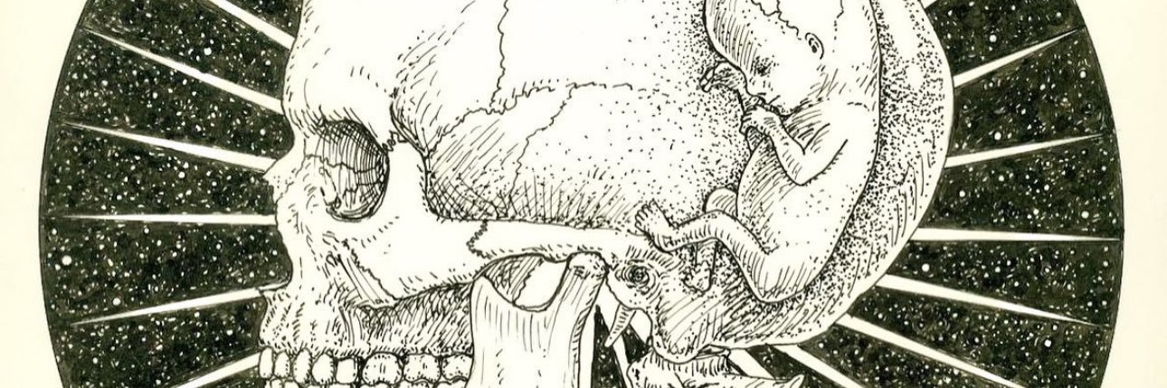 Seigulle's profile banner image