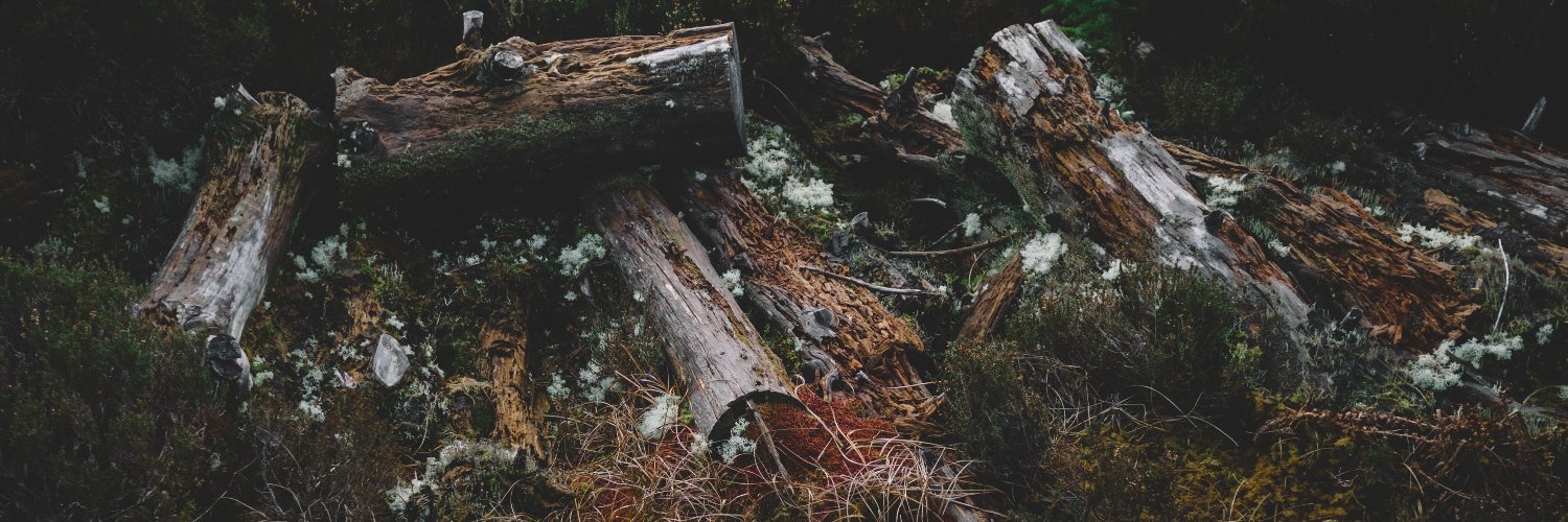 Sword & Kettle Press banner