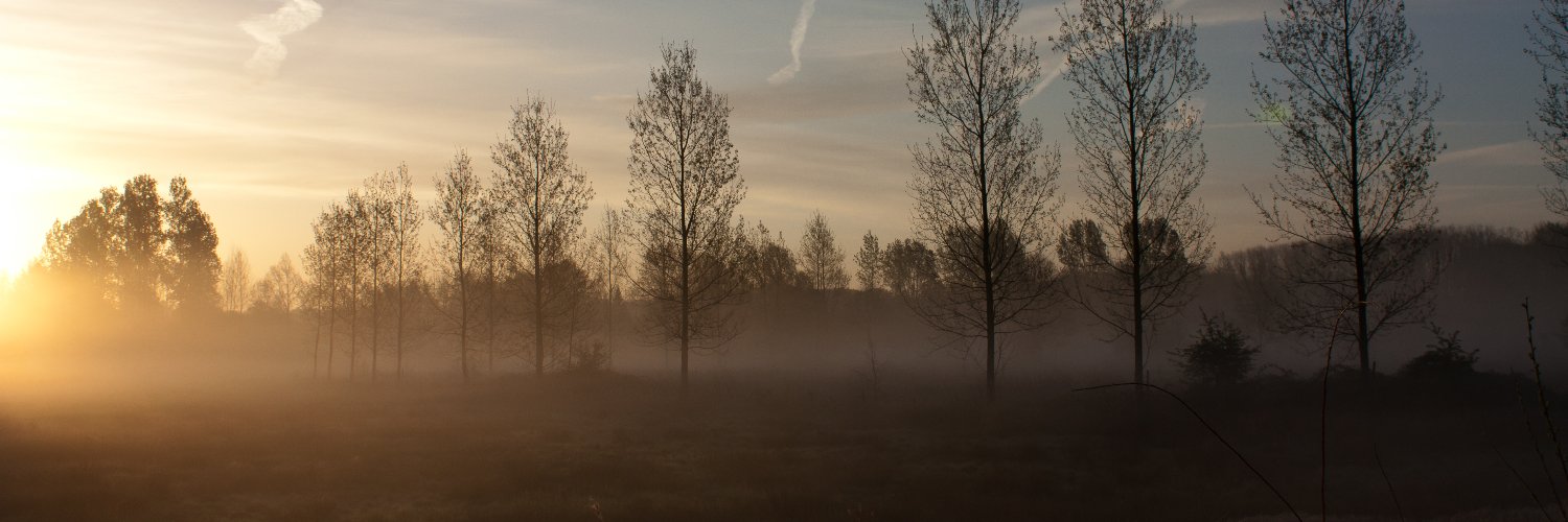 DroomgansPics's profile banner image