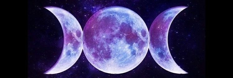 Sycorox's profile banner image