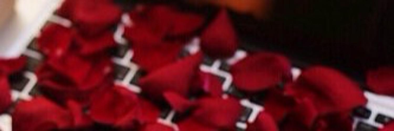HajaKate's profile banner image