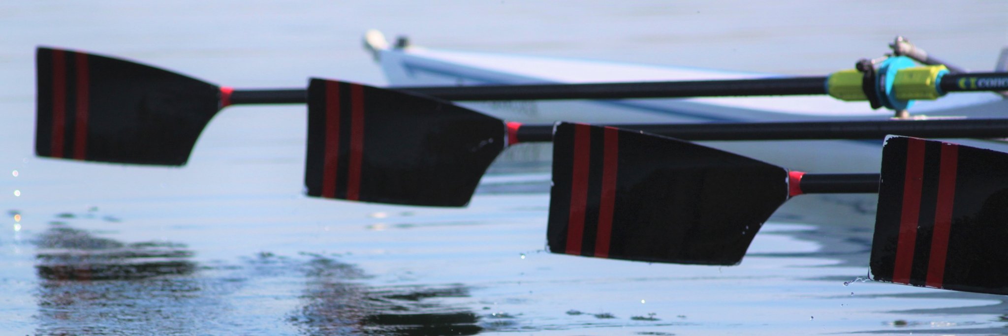 Rowing | Bedford Modern School banner