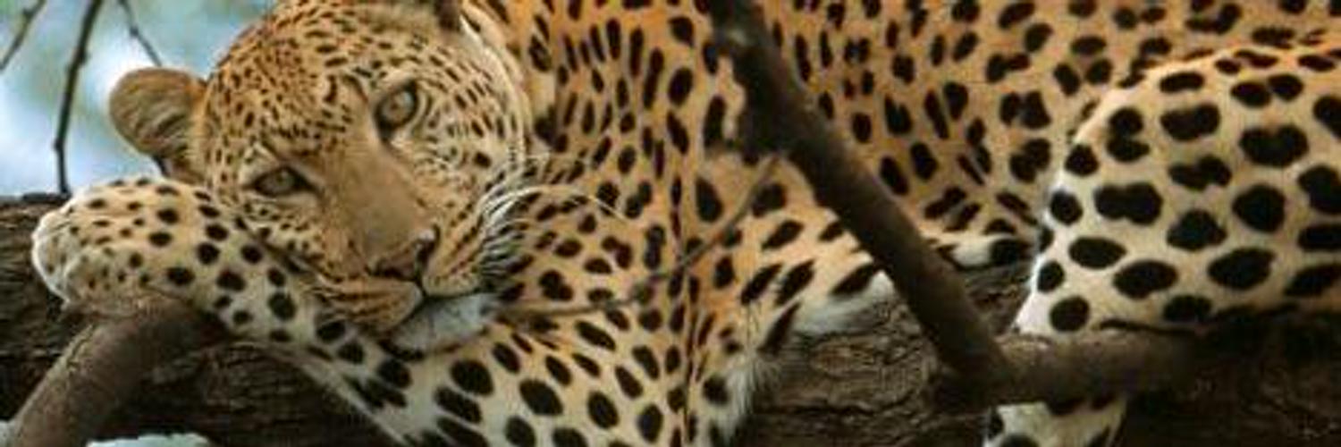 tamikalanders1's profile banner image