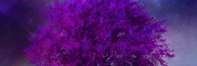 andriad10's profile banner image