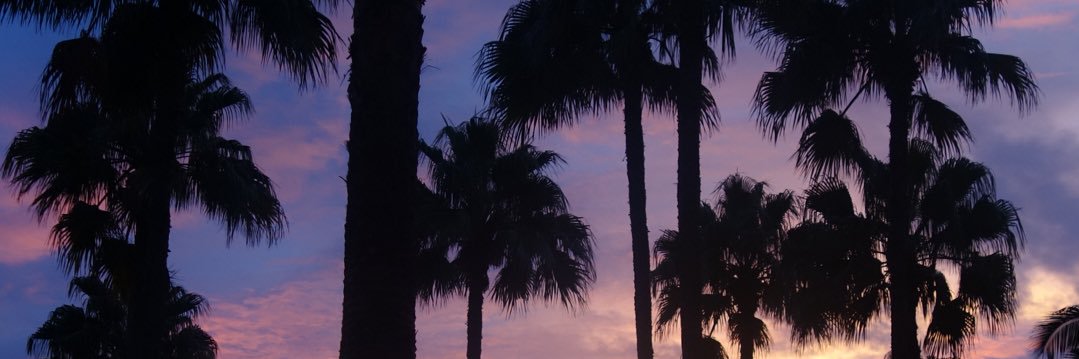 Graceolj's profile banner image