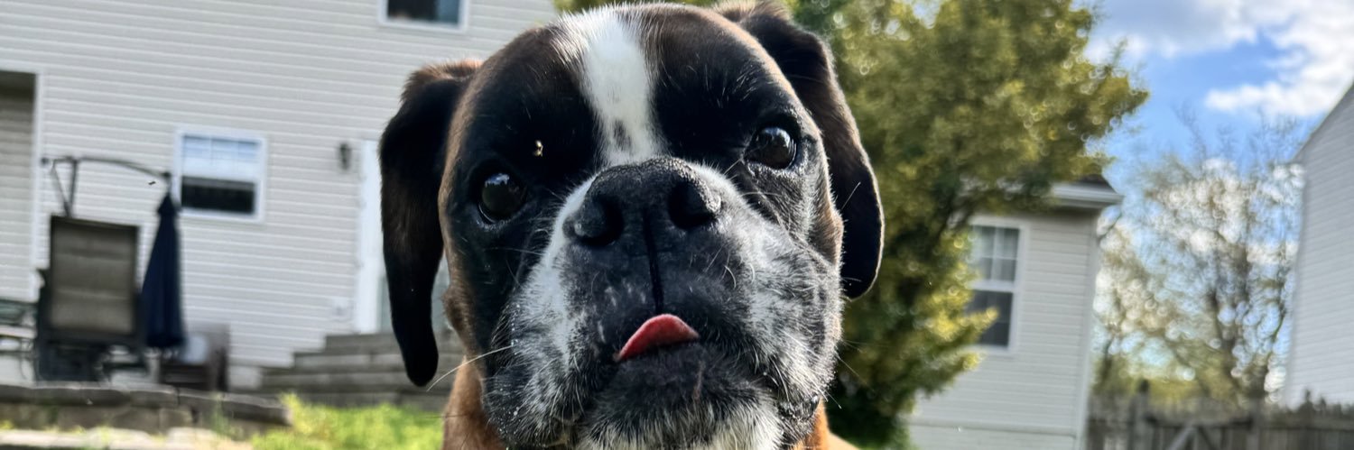 hunterbear1303's profile banner image