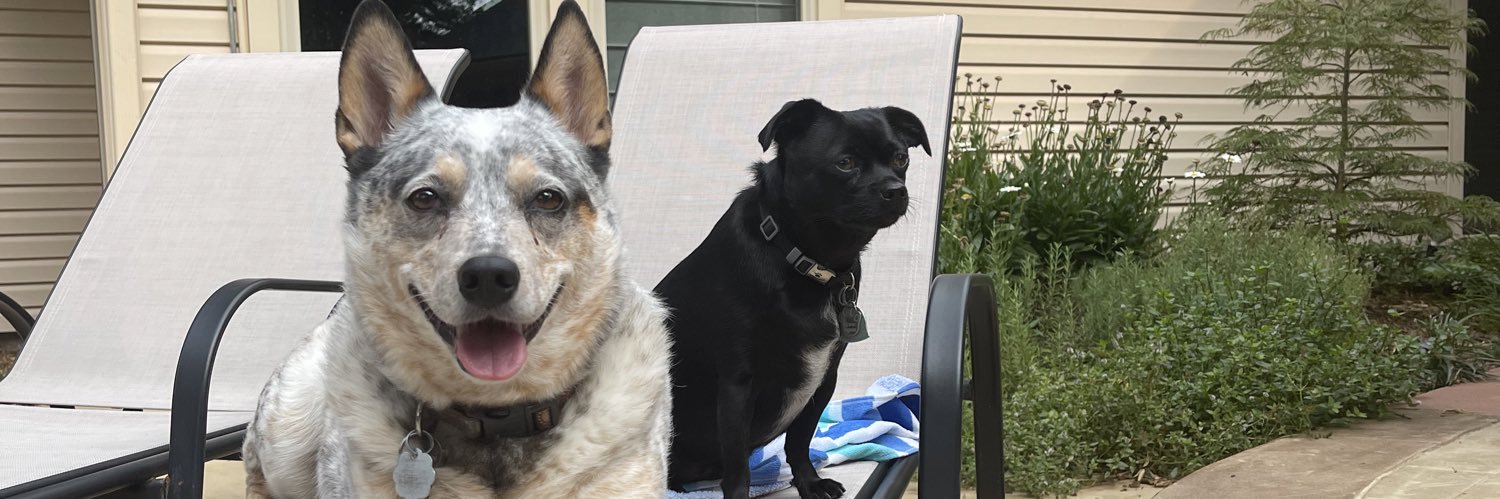ca_pey's profile banner image