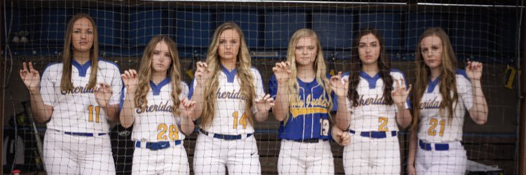 ljp_softball's profile banner image