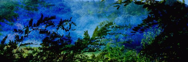 2Zen_Games Profile Banner