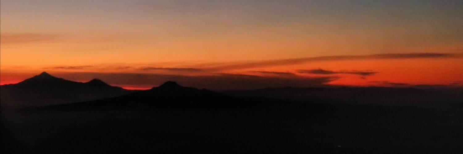 Fernanda Celis banner