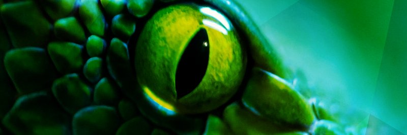 sunwut's profile banner image