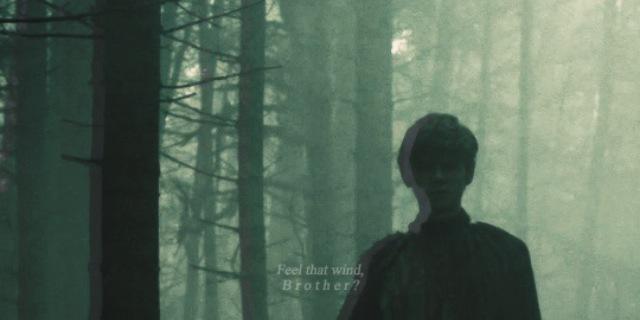 Jojen Reed banner