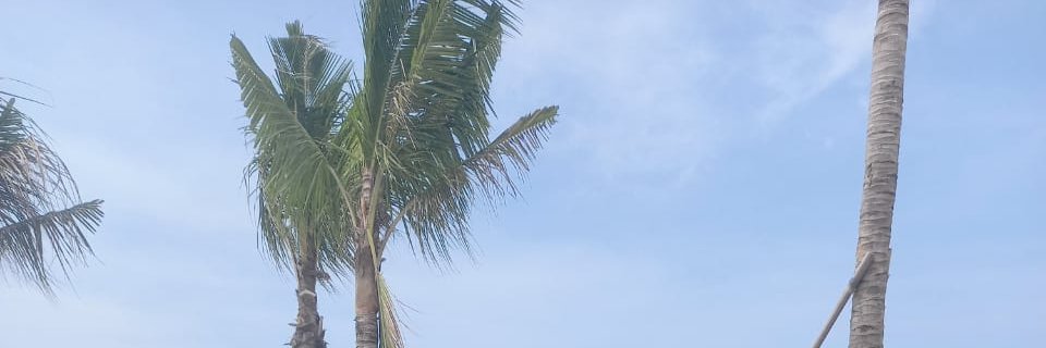 nisdsdsa's profile banner image