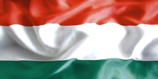 Real_1D_Hungary's profile banner image