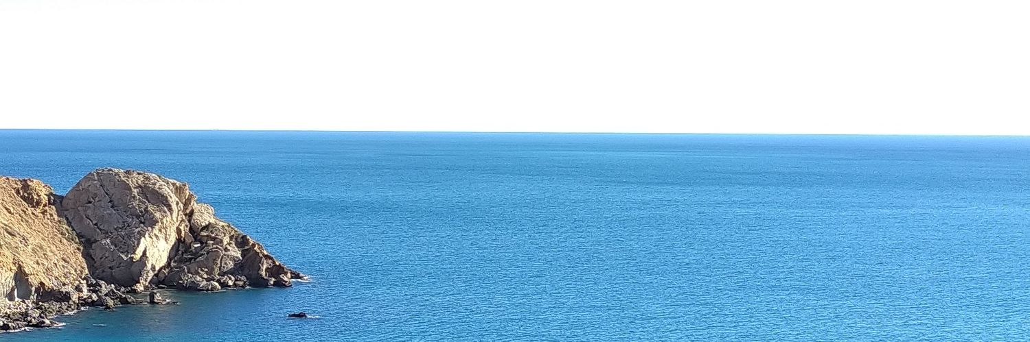 ank_arz's profile banner image