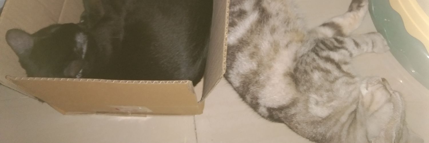 พ๊อบพะร้อบพร๊อบพิ้บรักหลงหลานทิฉุด banner