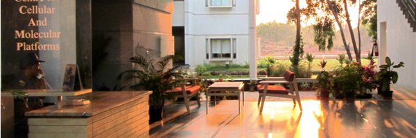 CCAMP_India Profile Banner