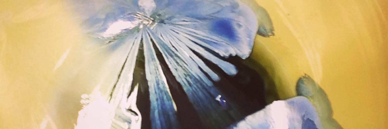 ciscajane's profile banner image