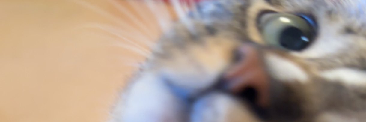 savvjo's profile banner image