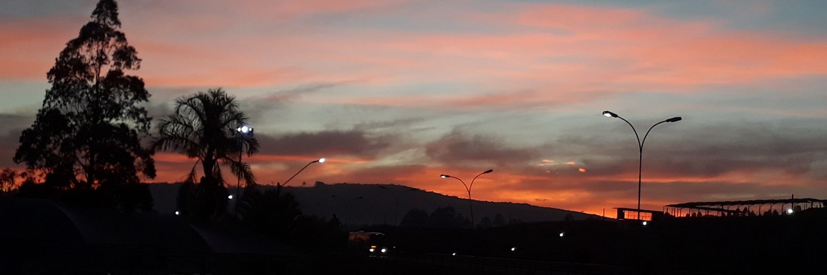 sarahradls's profile banner image
