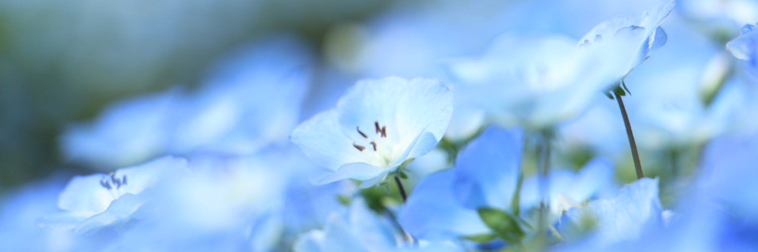 pompom_star's profile banner image