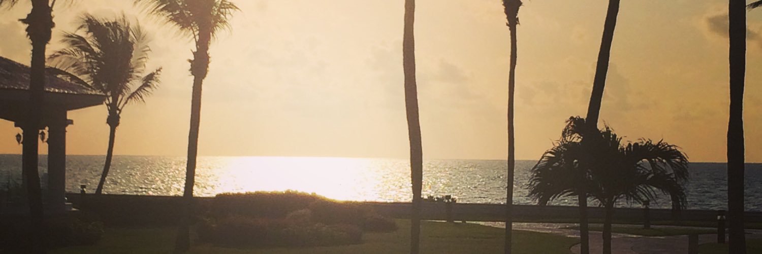 Shelley Lowry banner