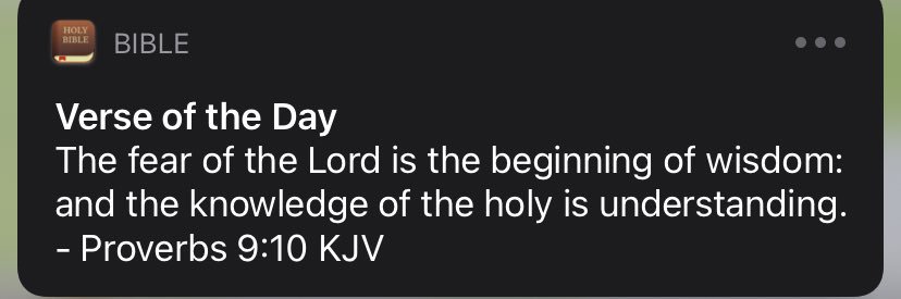 Junior Duffault banner