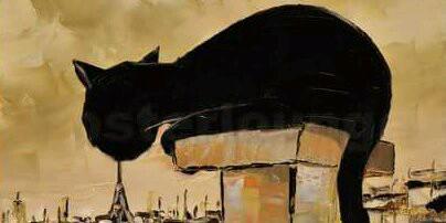 salem0613's profile banner image