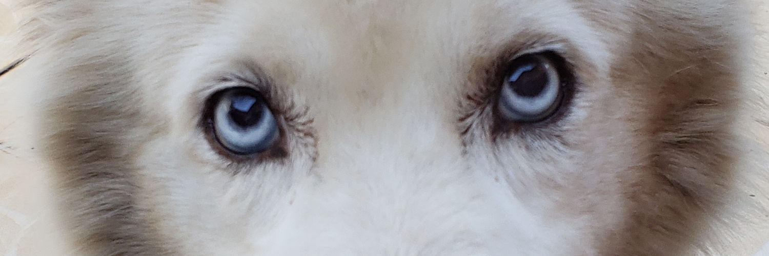 LoLKN_'s profile banner image
