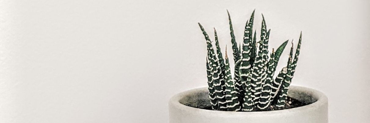EmilySandelands's profile banner image