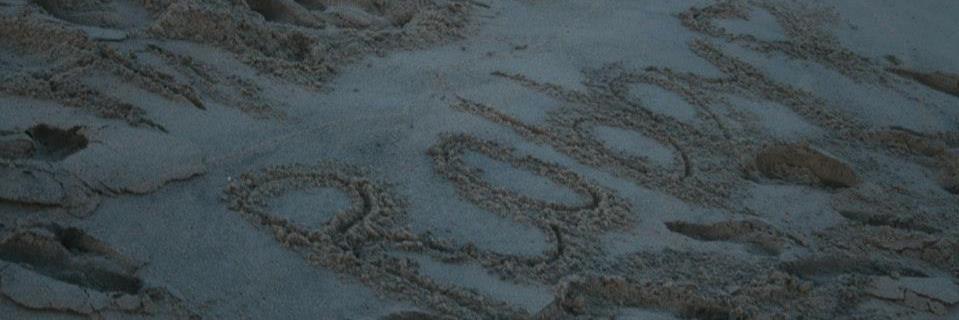 lguyott's profile banner image