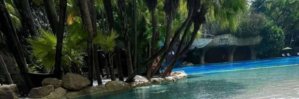 wellywinea's profile banner image