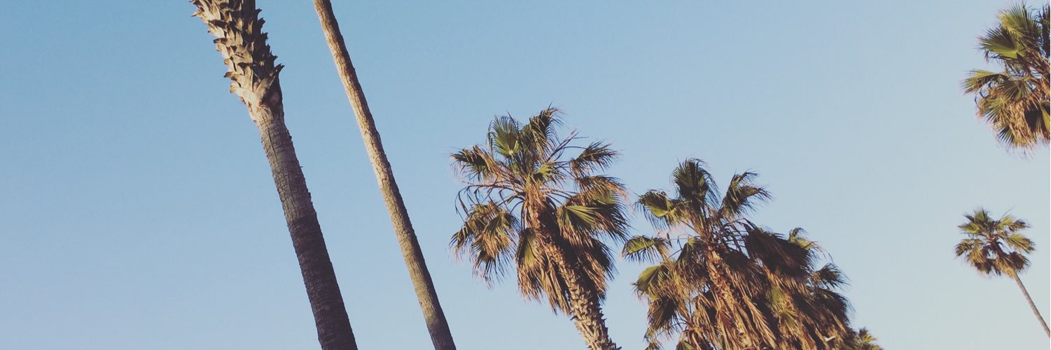 MaevaAdoumie's profile banner image