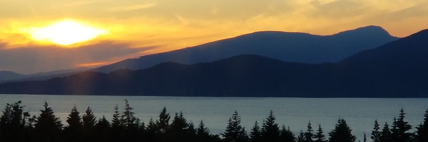adnansyed786's profile banner image